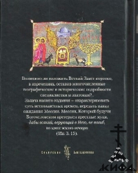 Краткое изложение Ветхого Завета: Ветхозаветные сотницы